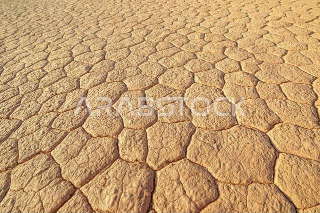 Cracked earth forming a natural geometric pattern across the arid desert ground, representing drought and climate change in the Sharaan Nature Reserve