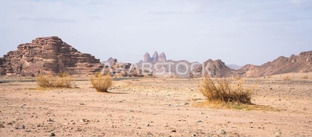 منظر صحراوي قاحل ذو رمال وتكوينات صخرية ضخمة من الحجر الرملي، تبوك، المملكة العربية السعودية منظر صحراوي قاحل ذو رمال وتكوينات صخرية ضخمة من الحجر الرملي، تبوك، المملكة العربية السعودية