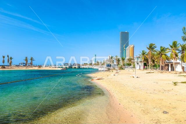 تلامس المياه الفيروزية الشفافة بلطف الشاطئ الرملي لواجهة جدة المائية، حيث تتمايل أشجار النخيل في النسيم وترتفع ناطحات السحاب الحديثة في