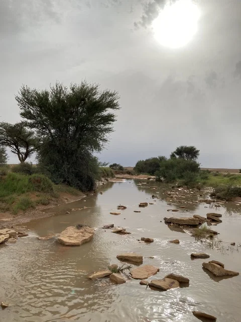 جريان السيول في شعيب أبو نخلة في المستوي بالقصيم