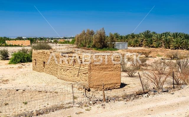 لقطة واسعة لآثار قلعة شنقل القديمة المبنية من الطوب اللبن، والمحاطة بأشجار النخيل والمناظر الطبيعية الصحراوية في تربة، منطقة مكة المكرمة، المملكة العربية السعودية