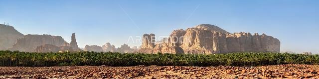 A wide panoramic landscape featuring a lush green palm tree oasis surrounded by dramatic sandstone rock formations under a clear blue sky in AlUla, Saudi Arabia.