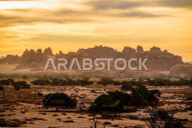 Aerial view of the sunrise over the sandstone rock formations in the ancient site of Hegra, AlUla