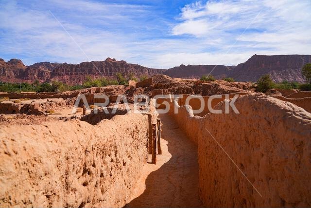 ممر تقليدي مبني من الطوب اللبن يتخلل واحة النخيل الخضراء المورقة في العلا، المملكة العربية السعودية