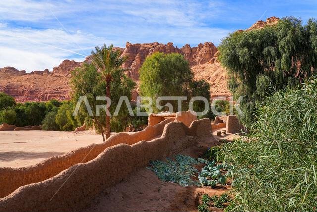 Traditional mudbrick wall path weaving through the lush green palm oasis in AlUla, Saudi Arabia