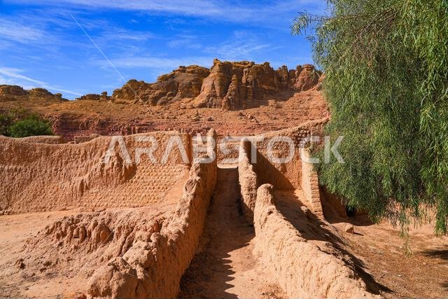 Traditional mudbrick wall path weaving through the lush green palm oasis in AlUla, Saudi Arabia