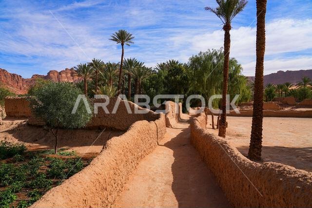 ممر تقليدي مبني من الطوب اللبن يتخلل واحة النخيل الخضراء المورقة في العلا، المملكة العربية السعودية ممر تقليدي مبني من الطوب اللبن يتخلل واحة النخيل الخضراء المورقة في العلا، المملكة العربية السعودية