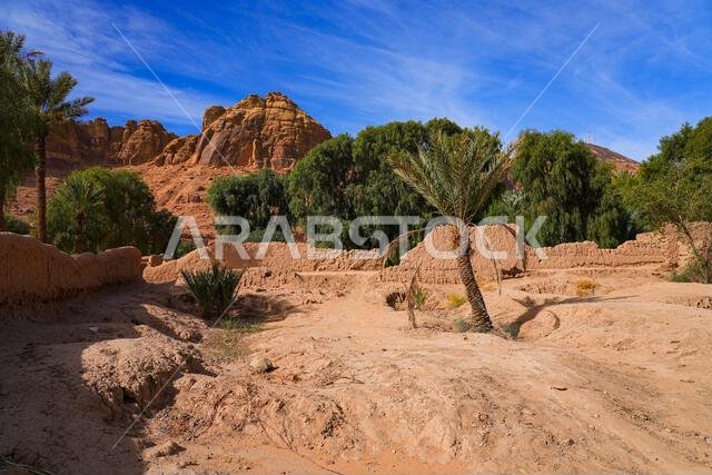 Traditional mudbrick wall path weaving through the lush green palm oasis in AlUla, Saudi Arabia