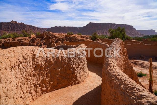 Traditional mudbrick wall path weaving through the lush green palm oasis in AlUla, Saudi Arabia
