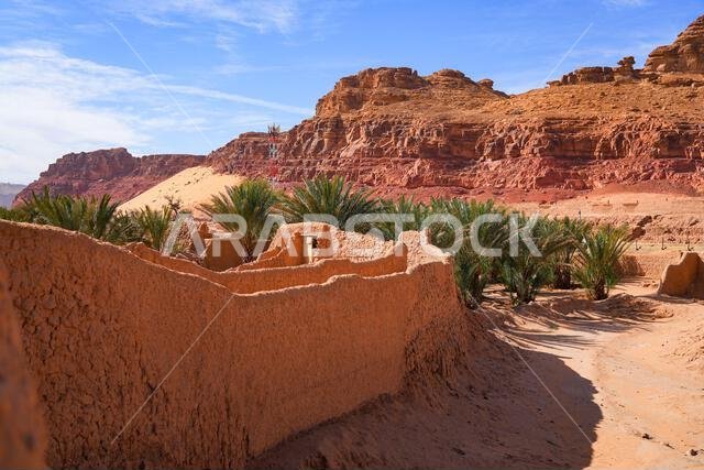 Traditional mudbrick wall path weaving through the lush green palm oasis in AlUla, Saudi Arabia