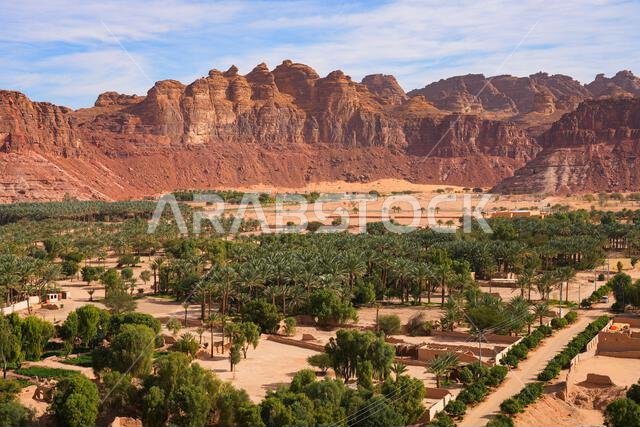 Aerial view of the lush green palm oasis against massive red sandstone cliffs in AlUla, Saudi Arabia