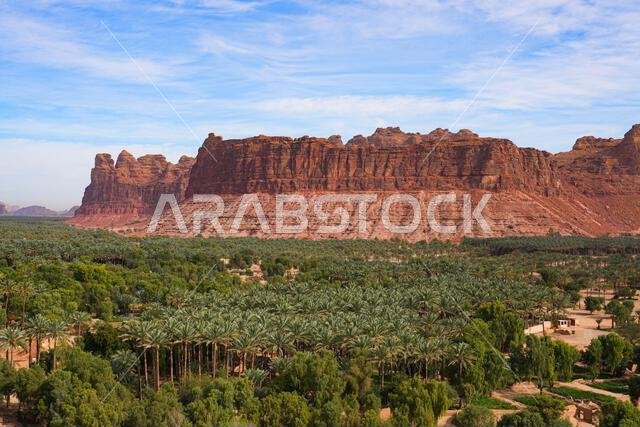 منظر جوي لواحة النخيل الخضراء المورقة مقابل منحدرات الحجر الرملي الأحمر الضخمة في العلا، المملكة العربية السعودية