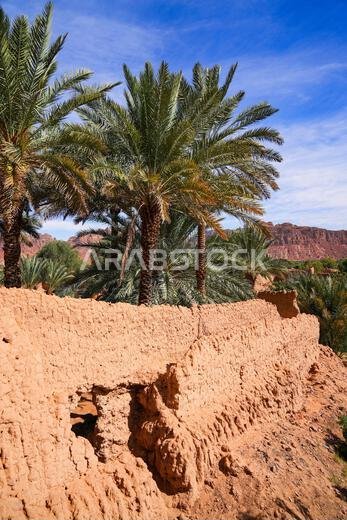 Ancient mudbrick ruins and lush green trees in the historical heritage oasis of AlUla, Saudi Arabia