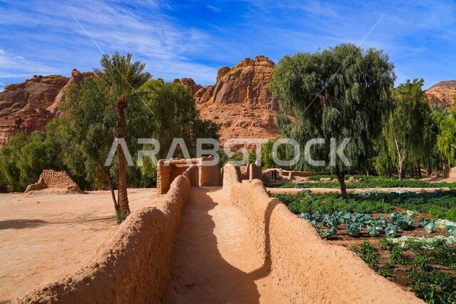 ممر تقليدي مبني من الطوب اللبن يتخلل واحة النخيل الخضراء المورقة في العلا، المملكة العربية السعودية ممر تقليدي مبني من الطوب اللبن يتخلل واحة النخيل الخضراء المورقة في العلا، المملكة العربية السعودية