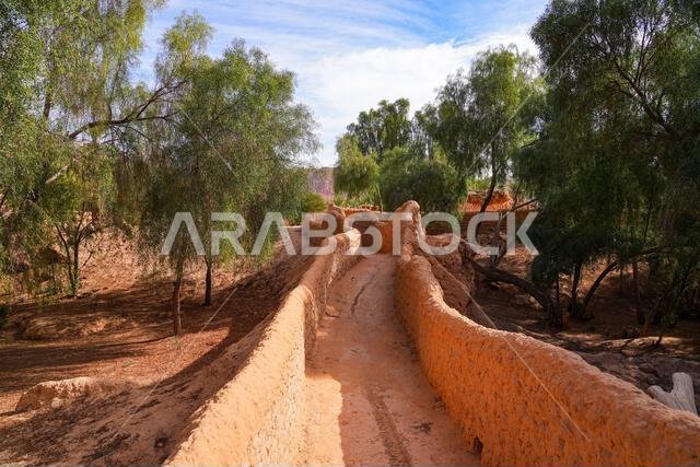 Traditional mudbrick wall path weaving through the lush green palm oasis in AlUla, Saudi Arabia