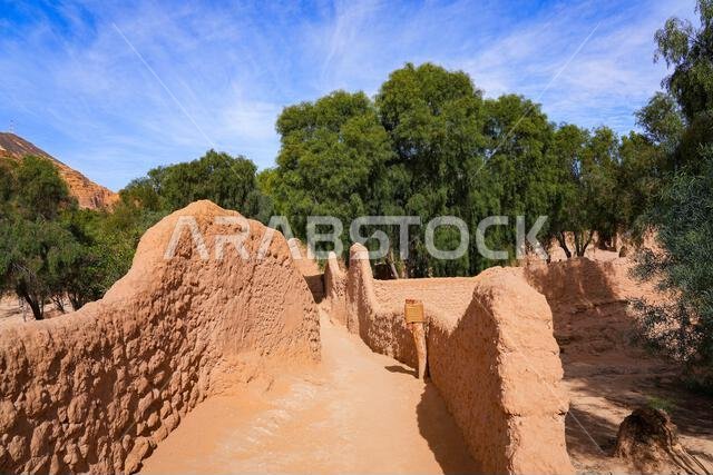 Traditional mudbrick wall path weaving through the lush green palm oasis in AlUla, Saudi Arabia