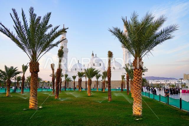 مسجد قباء الأبيض التاريخي محاط بالعشب الأخضر وأشجار النخيل عند الغسق في المدينة المنورة، المملكة العربية السعودية