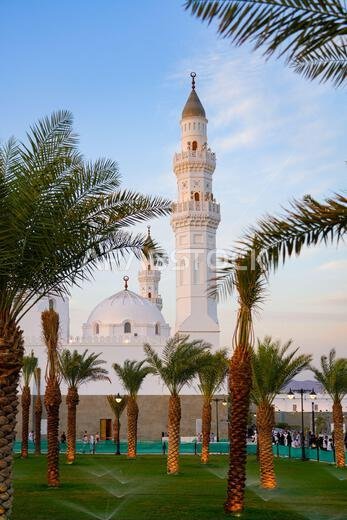 Historic white Quba Mosque framed by green grass and palm trees at dusk in Madinah, Saudi Arabia