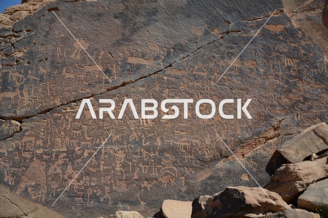 النقوش الصخرية القديمة في صحراء السعودية