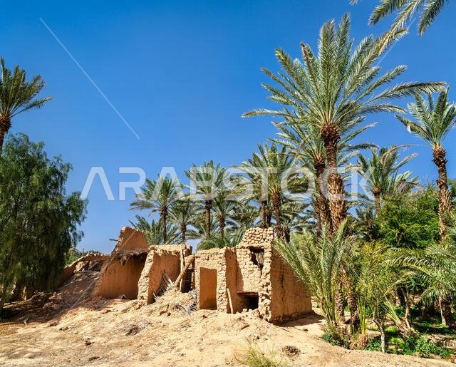 Traditional ruined mudbrick buildings surrounded by date palm trees in the AlUla Oasis area of Saudi Arabia.