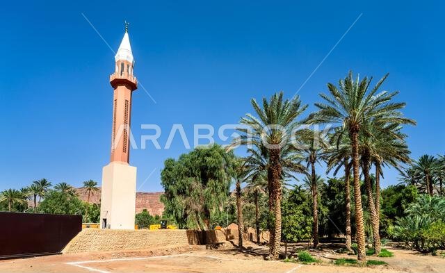 تقف مئذنة مسجد بلال بن رباح الجميلة ذات اللونين الأحمر والأبيض وسط أشجار النخيل الوارفة في واحة العلا التاريخية بالمملكة العربية السعودية، تحت سماء زرقاء صافية.