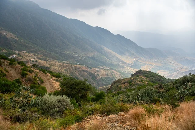Green Aseer Mountains Landscape Saudi Arabia Nature