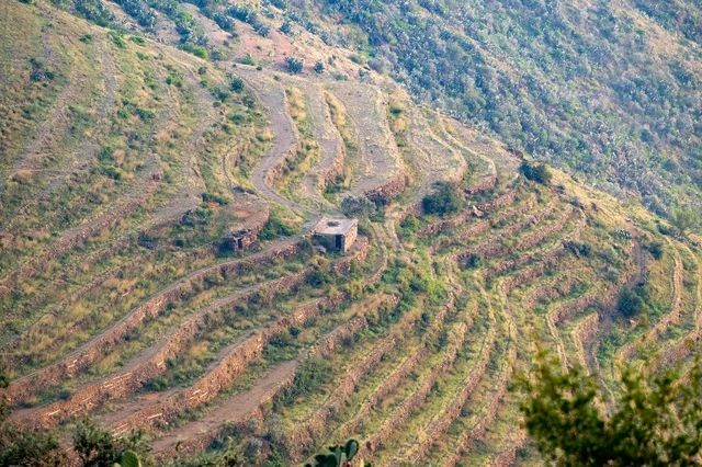 Agricultural Terraces in Asir Saudi Arabia Mountains