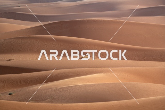 الكثبان الرملية في صحراء النفود بالمملكة