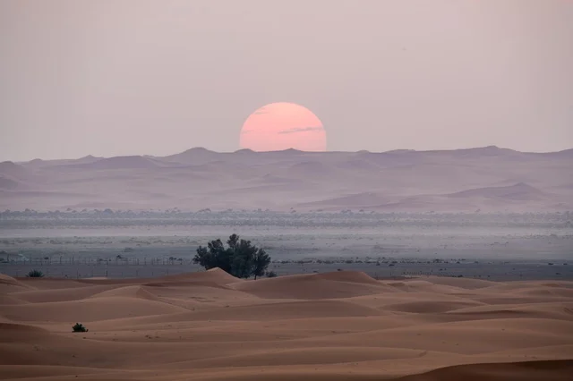 غروب الشمس فوق الكثبان الرملية في صحراء النفود بالمملكة