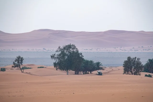 واحة صحراوية مع أشجار خضراء وكثبان رملية