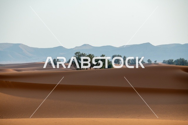 الكثبان الرملية في صحراء النفود مع الأشجار والجبال