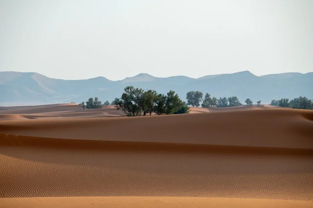 الكثبان الرملية في صحراء النفود مع الأشجار والجبال