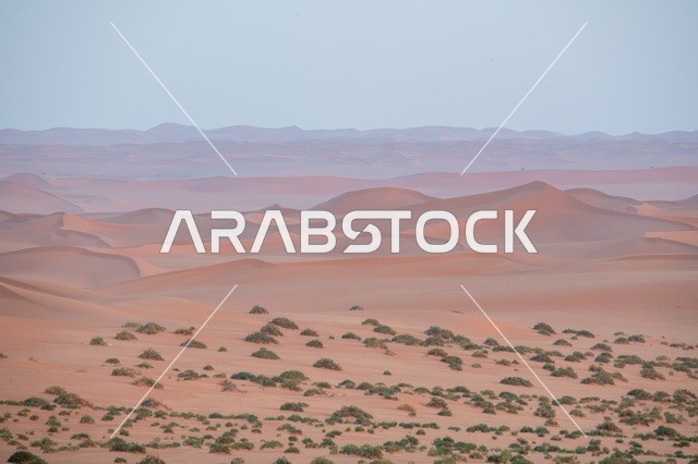 كثبان صحراء النفود الرملية في المملكة العربية السعودية