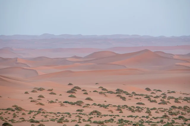 كثبان صحراء النفود الرملية في المملكة العربية السعودية كثبان صحراء النفود الرملية في المملكة العربية السعودية