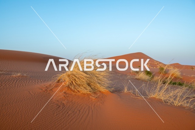 الكثبان الرملية الحمراء في صحراء النفود بالمملكة