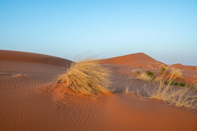 الكثبان الرملية الحمراء في صحراء النفود بالمملكة