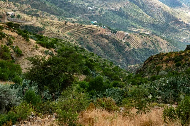 منظر جوي لمدينة عسير من فوق الجبال, الطبيعه الجبليه الخضراء في ابها, اجواء صيفيه مشمسه في النهار, السياحه في المملكه العربيه السعوديه
