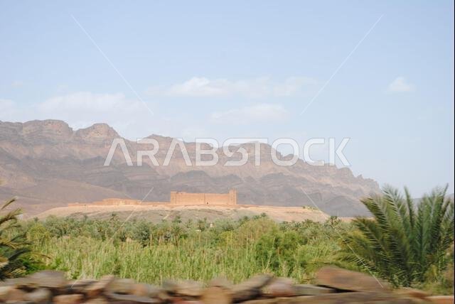 مزرعة تمور في المغرب