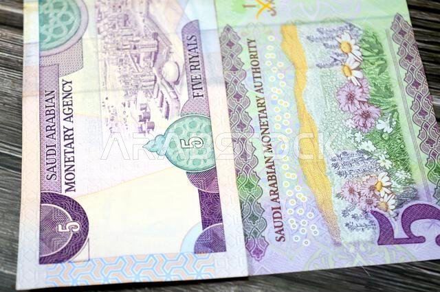 reverse sides of 5 SAR five Saudi Arabian riyals cash money banknote bill, features Oil refinery and flowers, old vintage retro Saudi money from the e