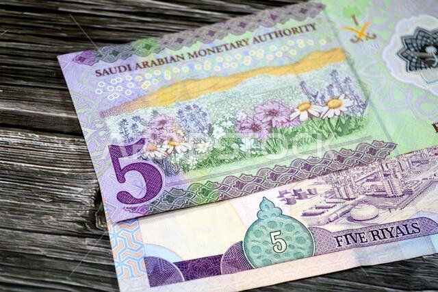 reverse sides of 5 SAR five Saudi Arabian riyals cash money banknote bill, features Oil refinery and flowers, old vintage retro Saudi money from the e