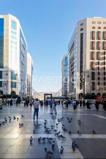 المدينة المنورة، المملكة العربية السعودية – 5 مارس 2024: الحمام حول المباني القريبة من المسجد النبوي