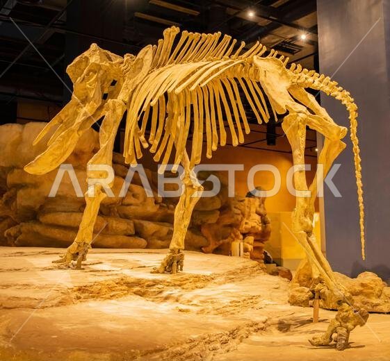 National Museum of Saudi Arabia in Riyadh, Saudi Arabia