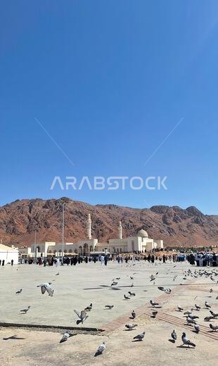 المدينة المنورة، المملكة العربية السعودية - 6 مارس 2024: حمام حول جبل أحد