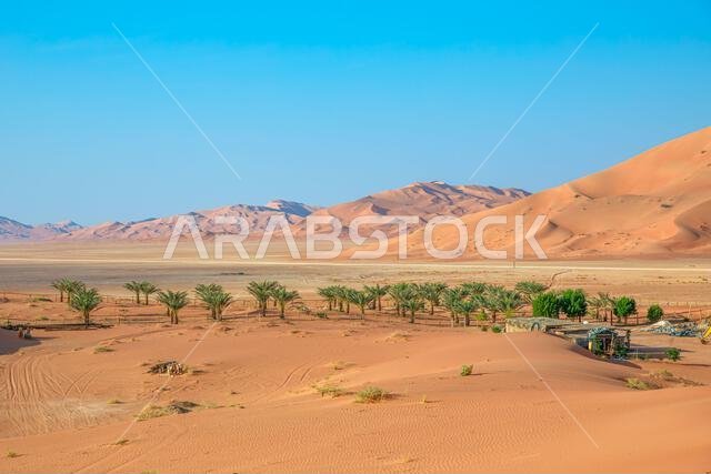 أشجار النخيل الخضراء تزدهر وسط الكثبان الرملية الحمراء الشاسعة في صحراء الربع الخالي بالقرب من ثمريت، ظفار، عمان، مما يسلط الضوء على التباين بين