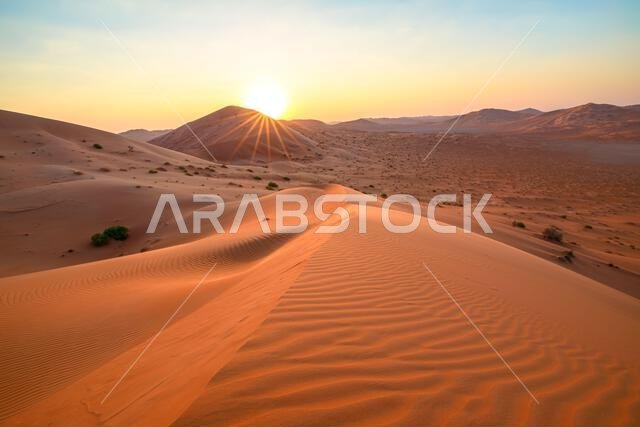 في رحاب الربع الخالي الهادئ في عُمان، تتكشف المناظر الطبيعية المشمسة، كاشفةً عن السحر الفريد للبرية القاحلة في أوائل القرن العشرين.