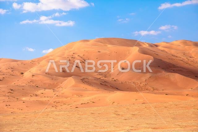 كثبان الربع الخالي الرملية الممتدة بلا نهاية، بتضاريسها المتموجة وظلالها العميقة تحت سماء زرقاء صافية، تُظهر جمال صحراء ظفار الشاسعة والقاحلة