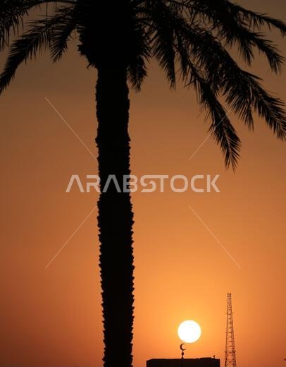 Sunset in capital of Kingdom of Saudi Arabia - Riyadh