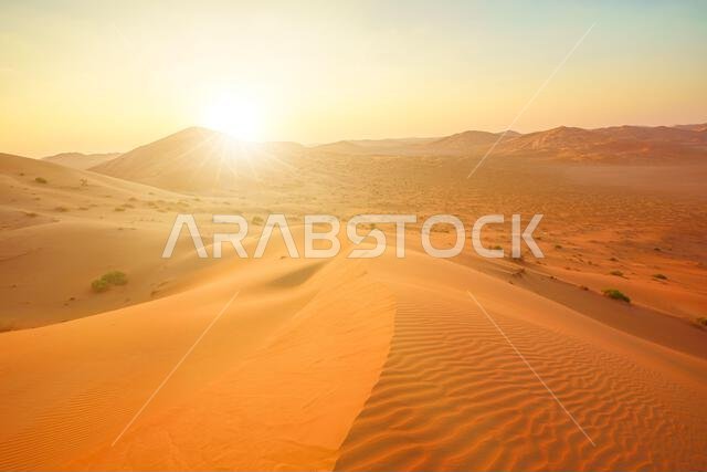 across Oman's Empty Quarter desert. exhilarating offroad desert safari.