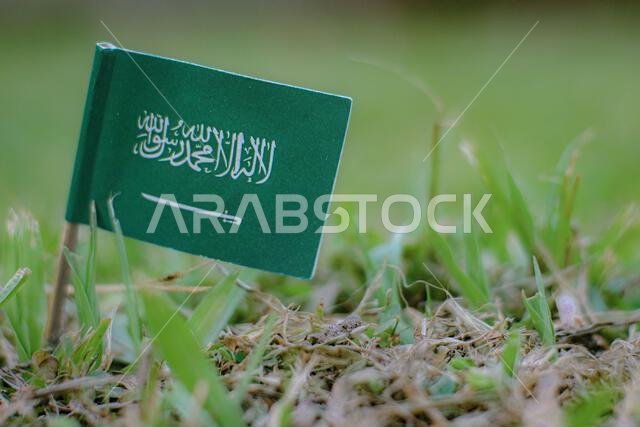العلم السعودي على خلفية خضراء. يرمز إلى المبادرة الخضراء السعودية، ورؤية 2030، والتحول البيئي في المملكة.