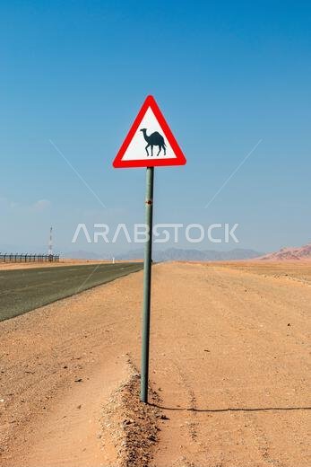 A lone camel warning sign stands along a desolate desert road, with a vast blue sky overhead. The scene evokes travel, solitude, remote exploration